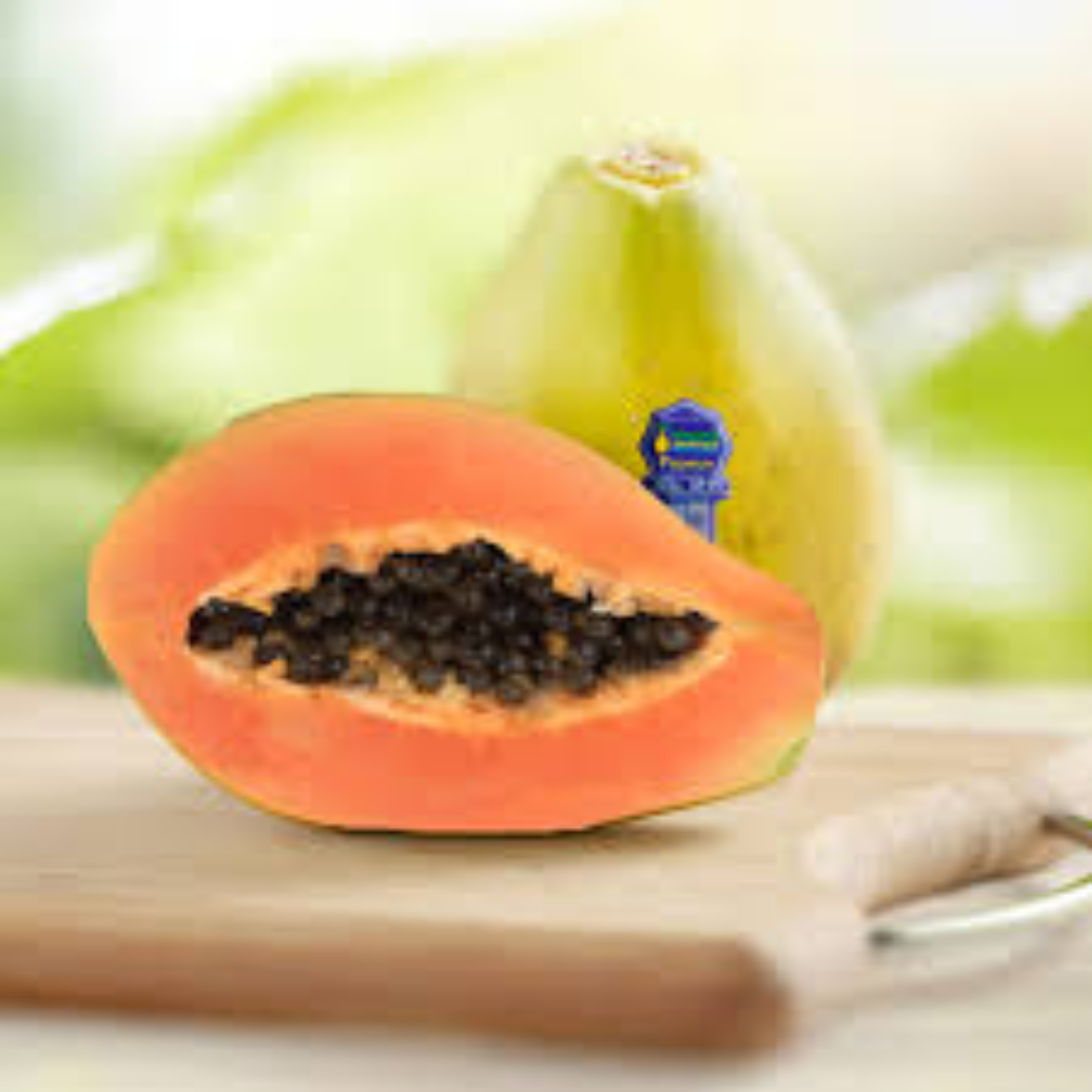Wholesale Hybrid Solo Papaya Plant Seeds – Qatar